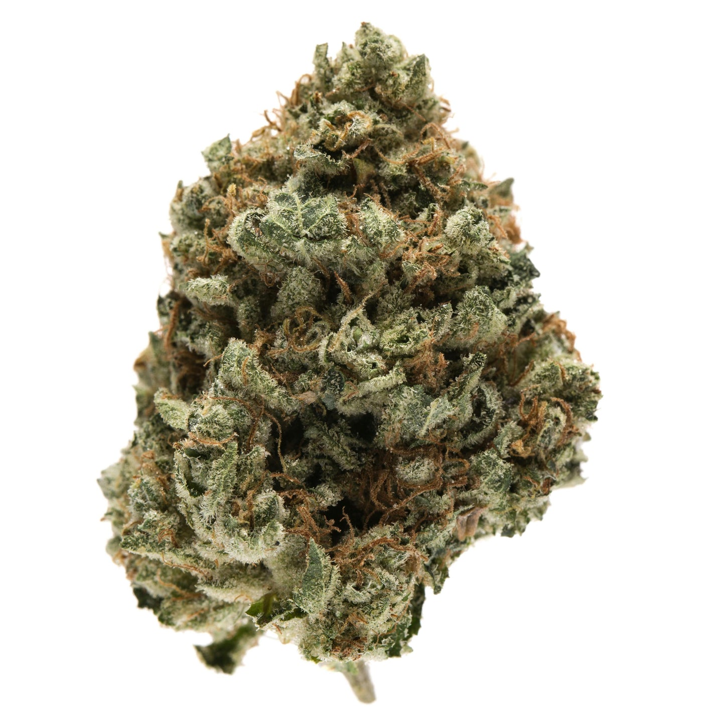 KOSHER OG (indica)