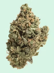Sunshine Daydream (sativa)