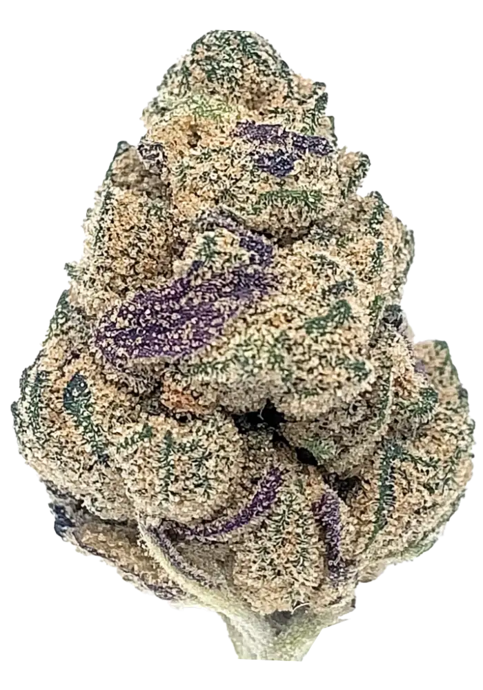 Candy Fumez (Indica)