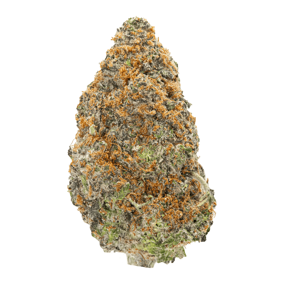 GARLIC CAKE (hybrid)