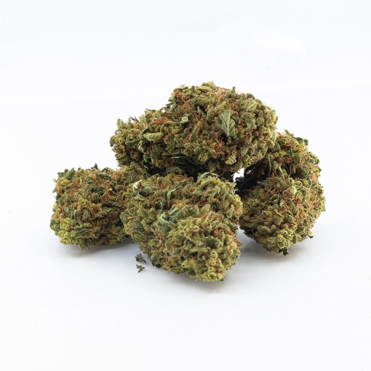 Pine Queen (indica)