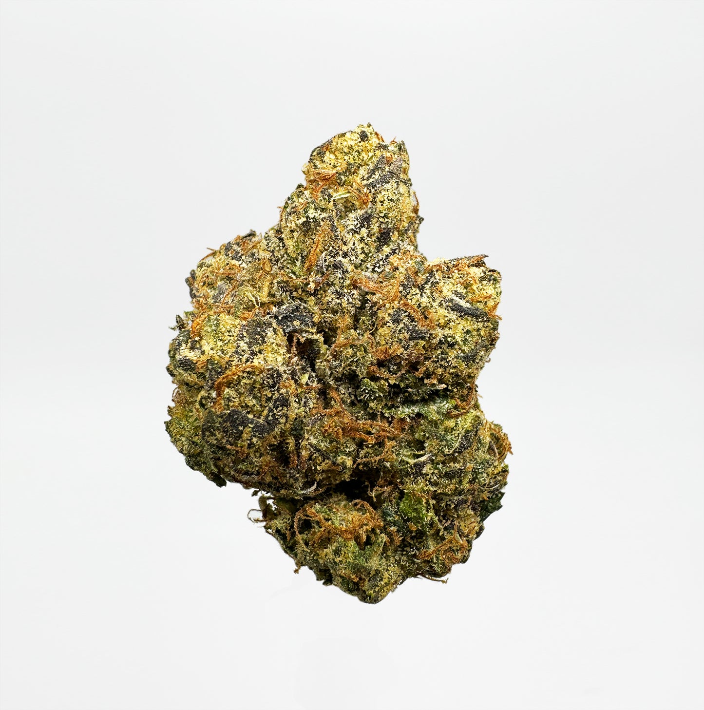 King Loui (indica)