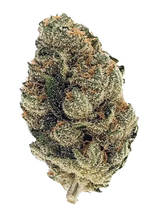 MIKES HARD RUNTZ (hybrid)