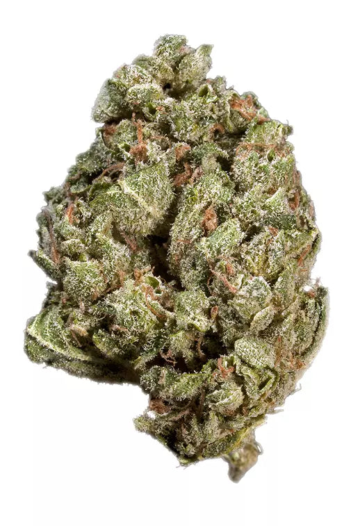 Forbidden Fruit (indica)