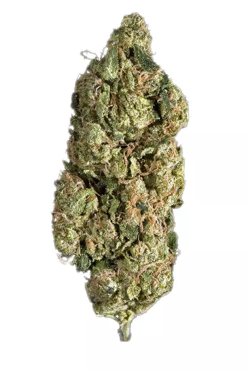 SOUR DIESEL (sativa)