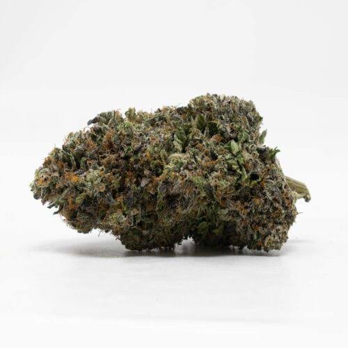 ZKITTLEZ (hybrid)