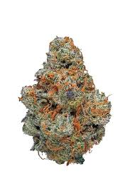Agent Orange (Hybrid)