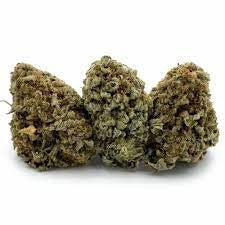 Baja Berry (hybrid)