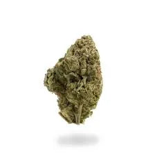 SKYWALKER OG (indica)