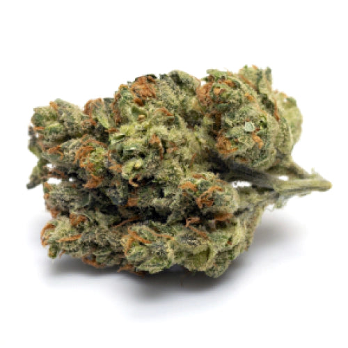KING LOUI (indica)