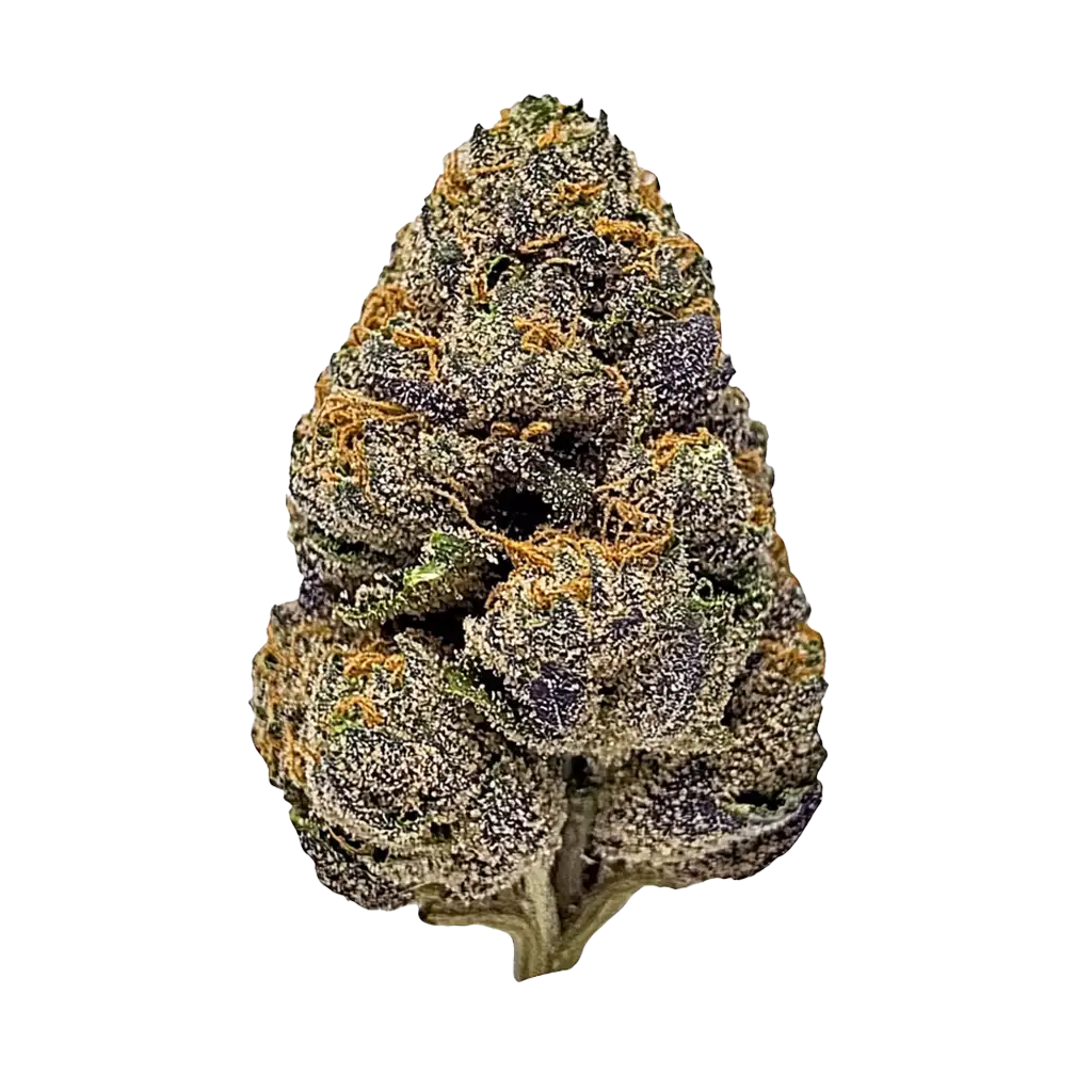 Lemon Purp (sativa)