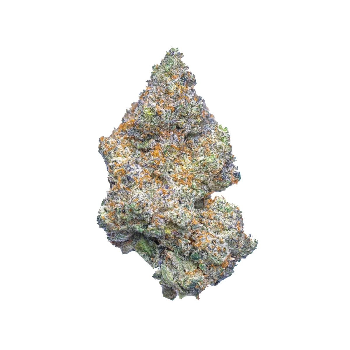 Critical Mass (indica)