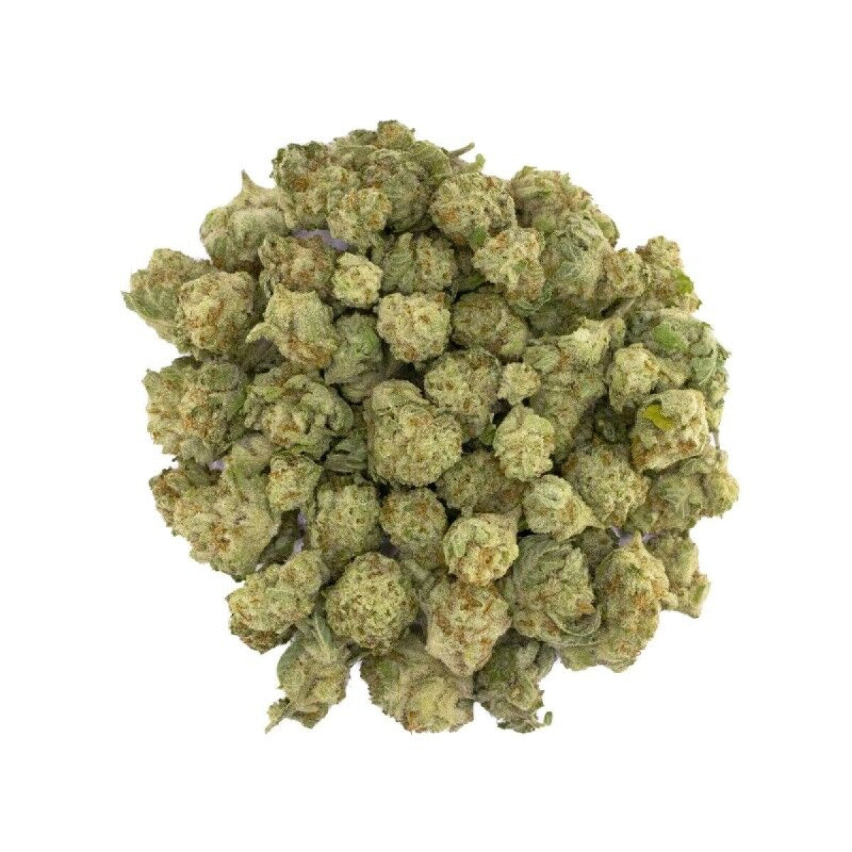 Papaya Punch (Hybrid)