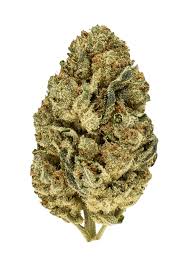 Plat. Gorilla Glue (Hybrid)