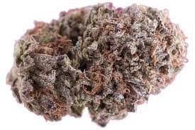 PURPLE KUSH (indica)