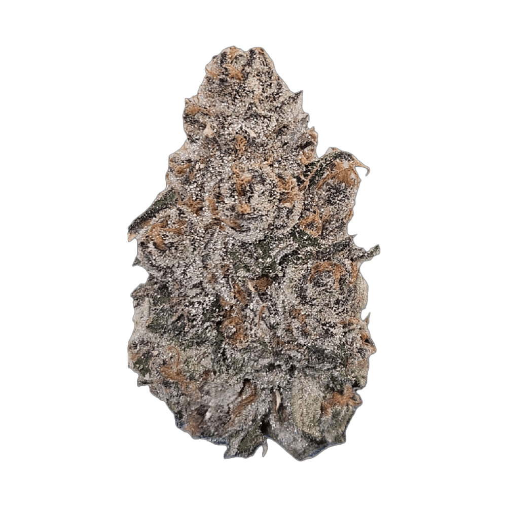 SHERB COCKTAIL (indica/hybrid)