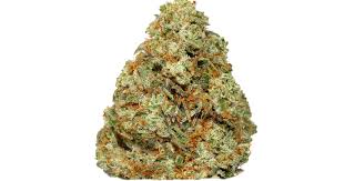 CANDY CROWN (hybrid)