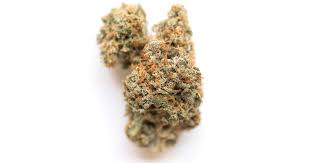 Vanilla Sundae (Indica)