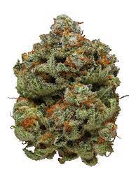 Watermelon Taffy (Hybrid)