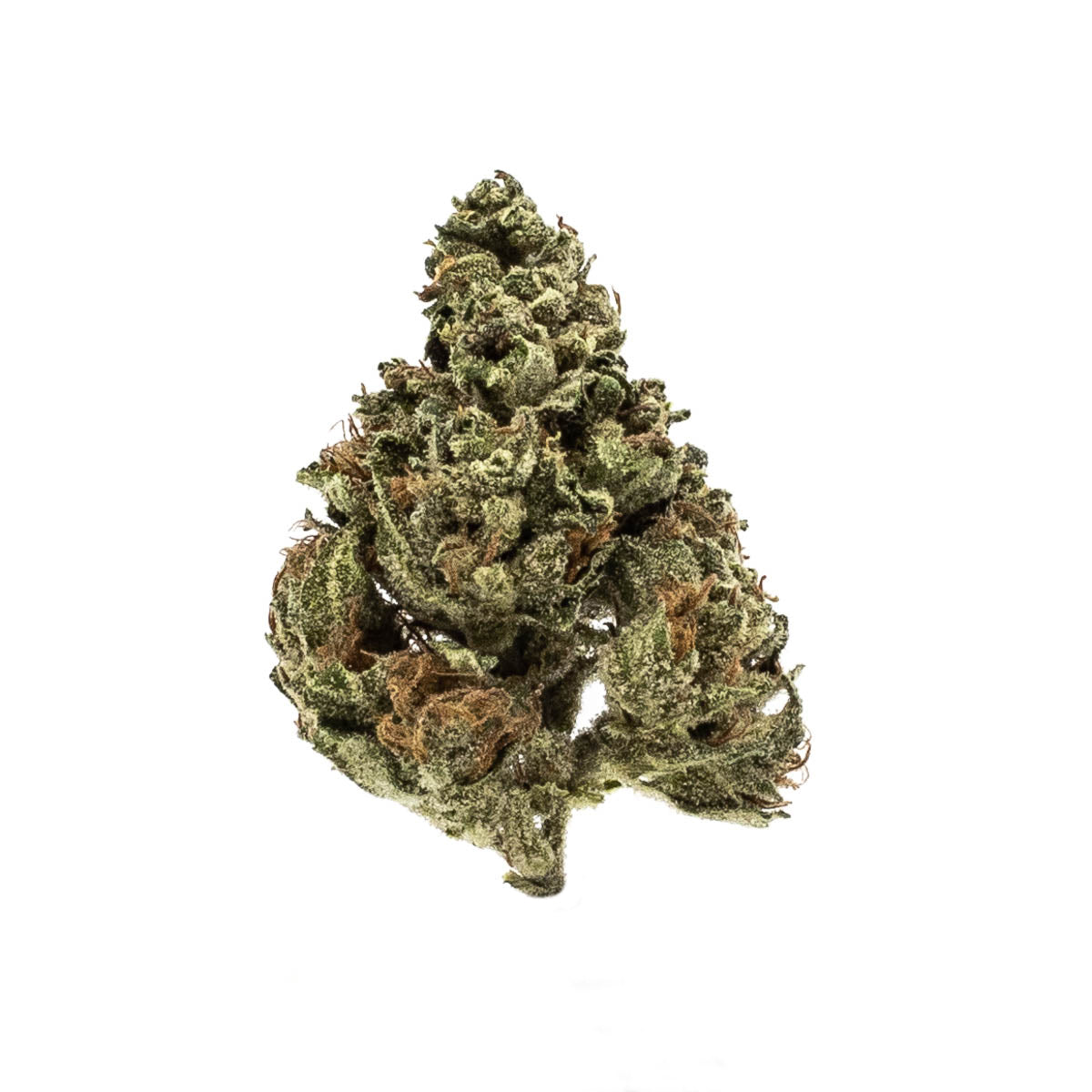 Watermelon zkz  (indica)