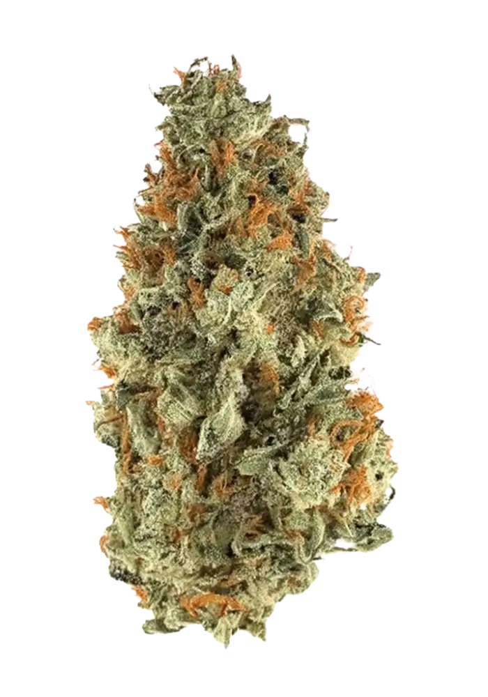 PINEAPPLE LIMEADE (sativa)