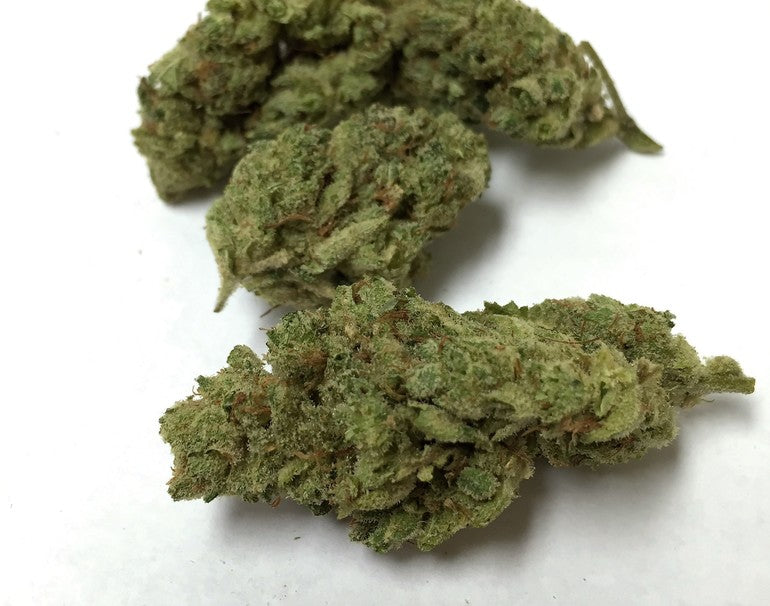 Sticky Glue (hybrid)