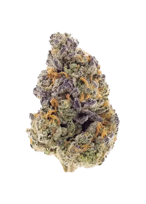 RAINBOW TMZ (hybrid/indica)
