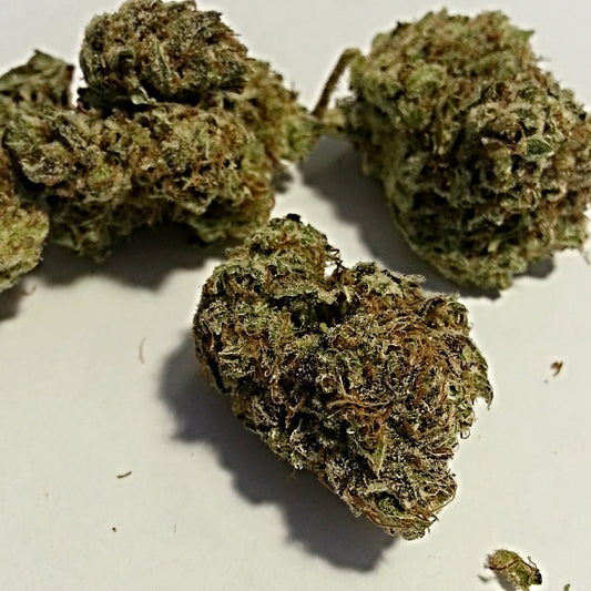 ATF (sativa)