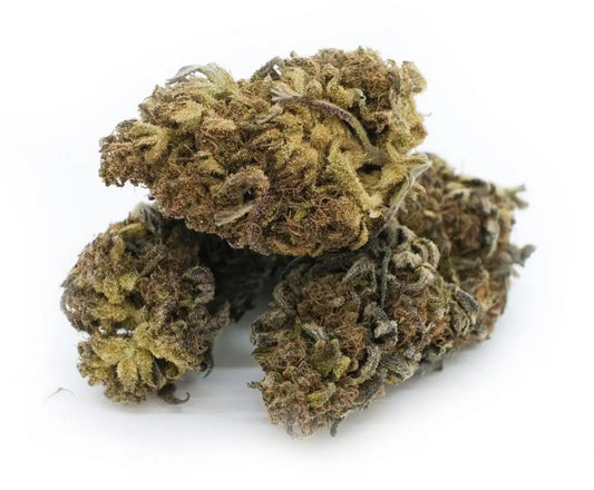 Skunk 1 (Hybrid)