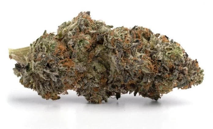 Maui Thunder Fck (Hybrid)