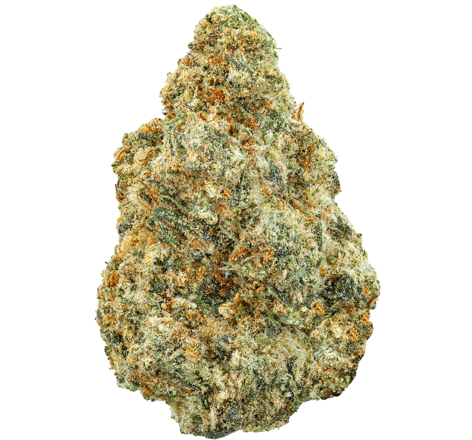 BLUEBERRY GELATO (Indica)