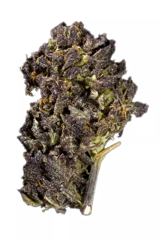 Purple Trainwreck (Sativa)