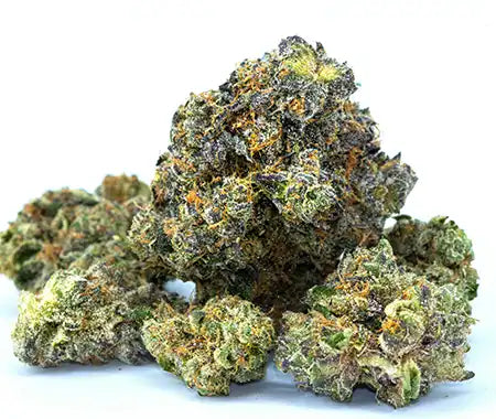 CALIFORNIA DEISEL (hybrid)