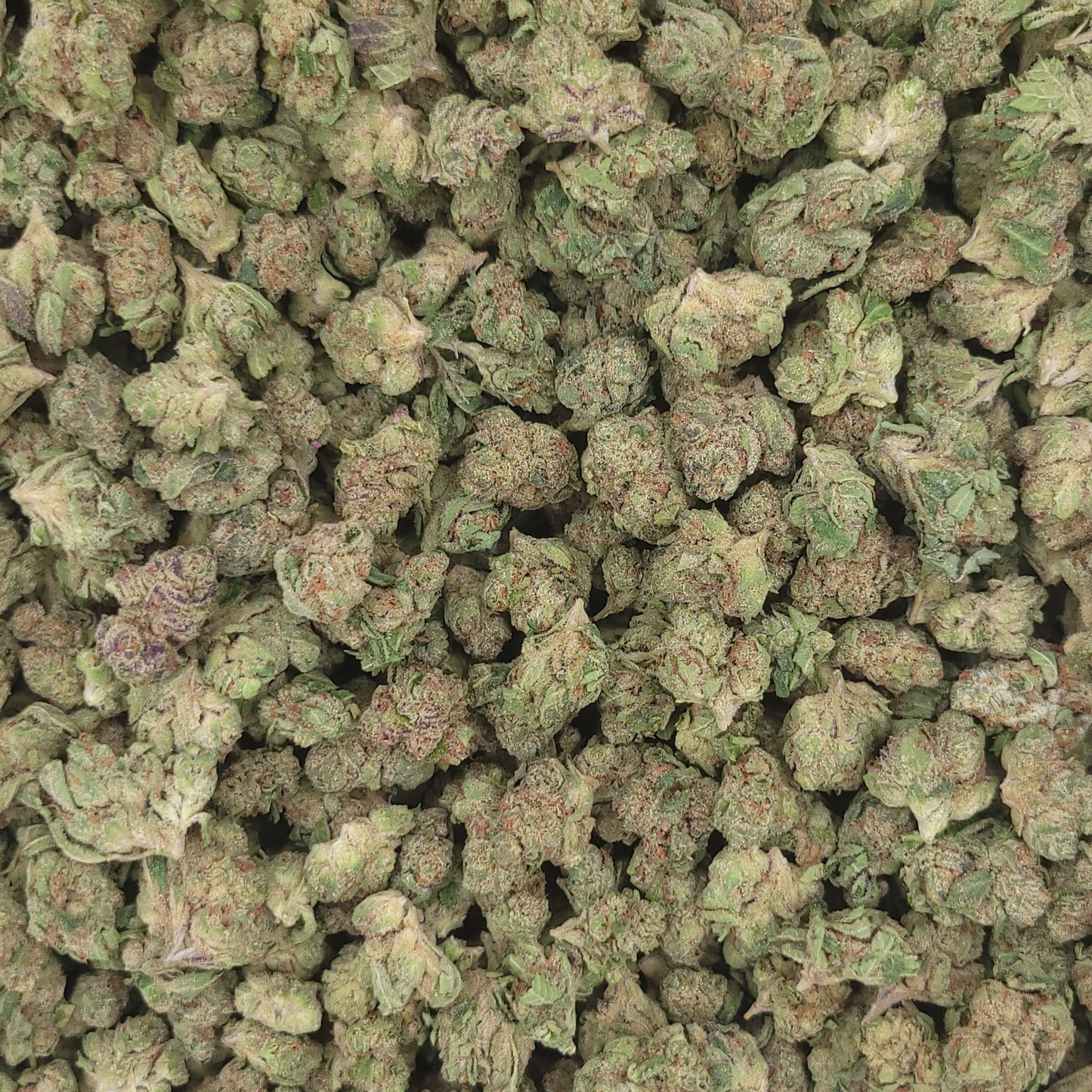 COOKIES AND CREAM SMALLS (Hybrid)