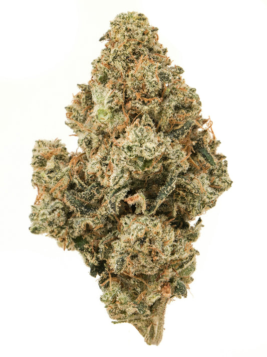CRITICAL JACK (sativa)