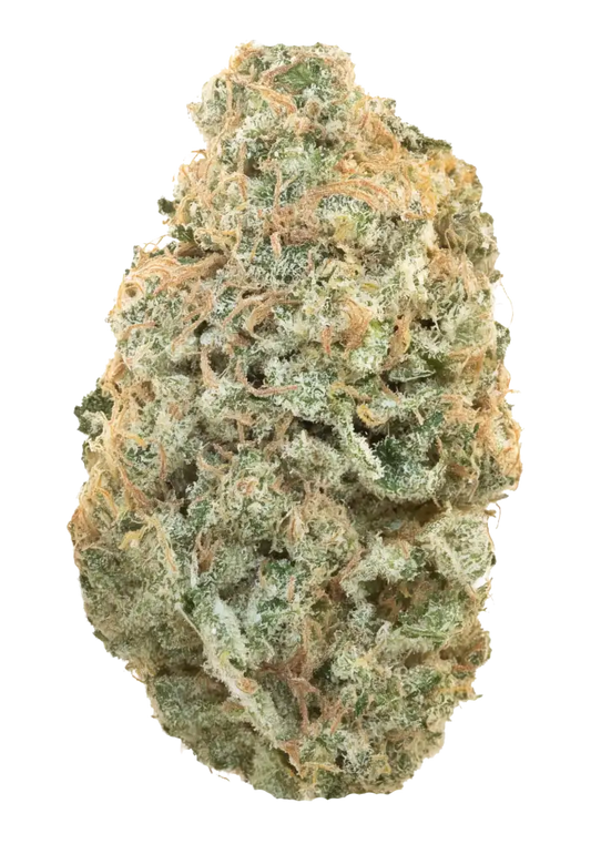GALRIC SHERBERT (indica)
