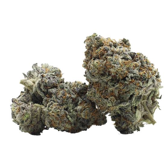GG#5 (Hybrid)