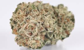 AAA Gorilla Glue (Hybrid)