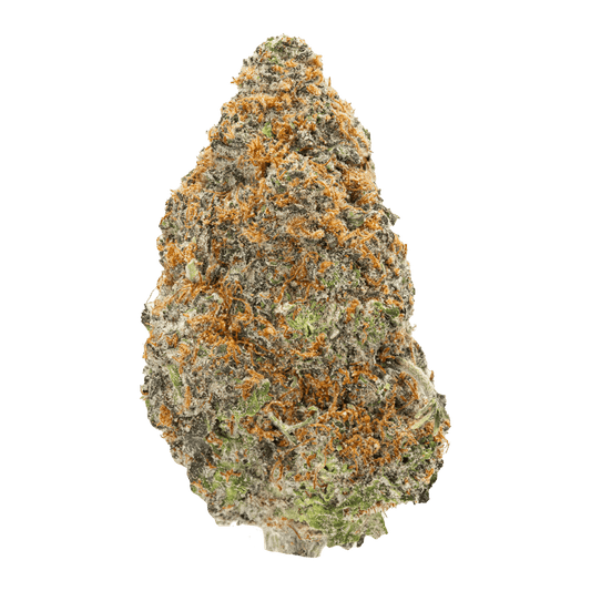 GARLIC CAKE (hybrid)