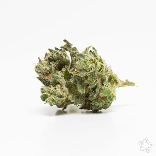 Sticky Icky Glue (hybrid/indica)