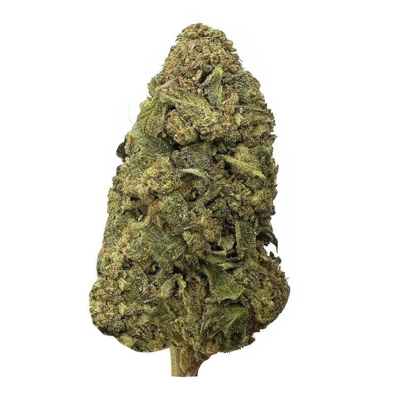 WEDDING PIE (indica)