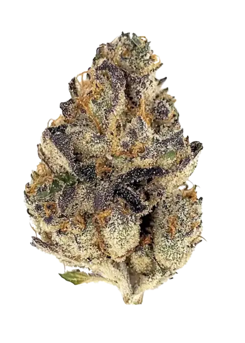 PINK BUBBA (indica)
