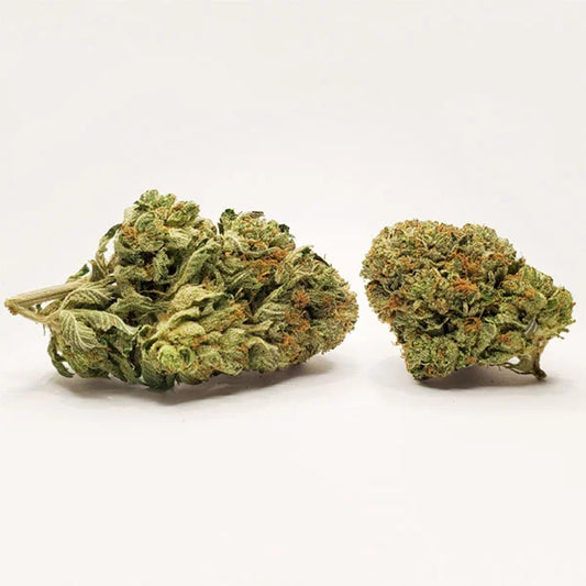 Pink Starburst (sativa)