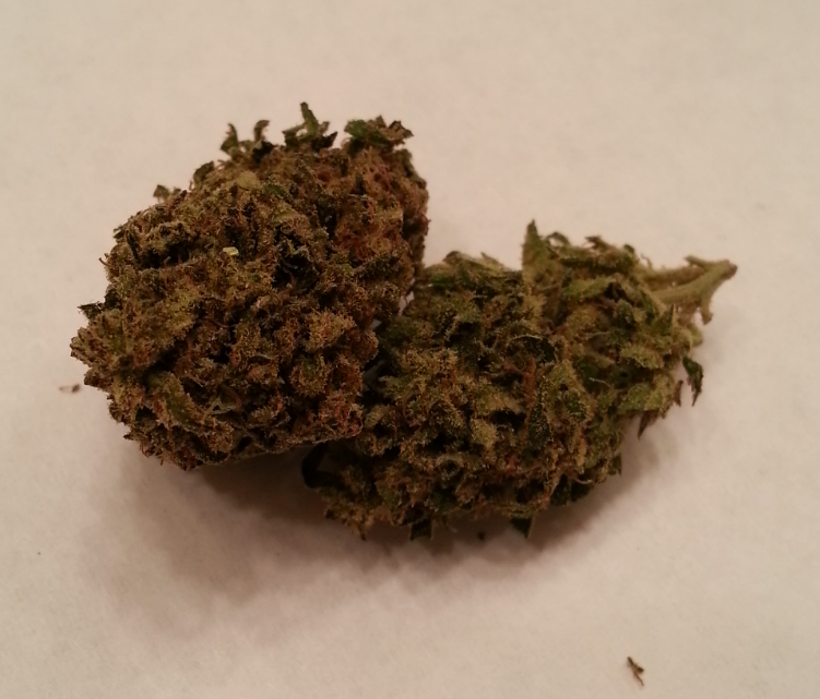 Purple OG Kush (Indica)