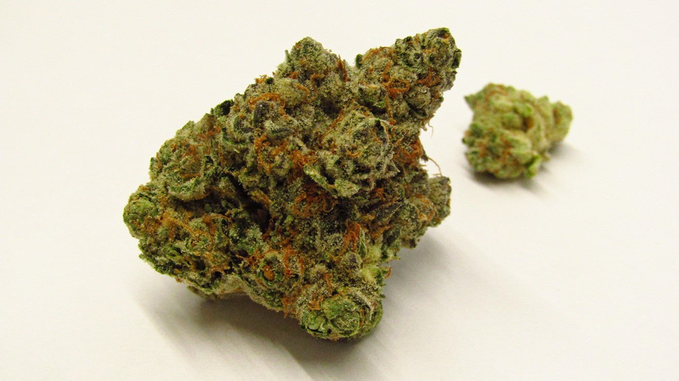 Red Haze (Sativa)