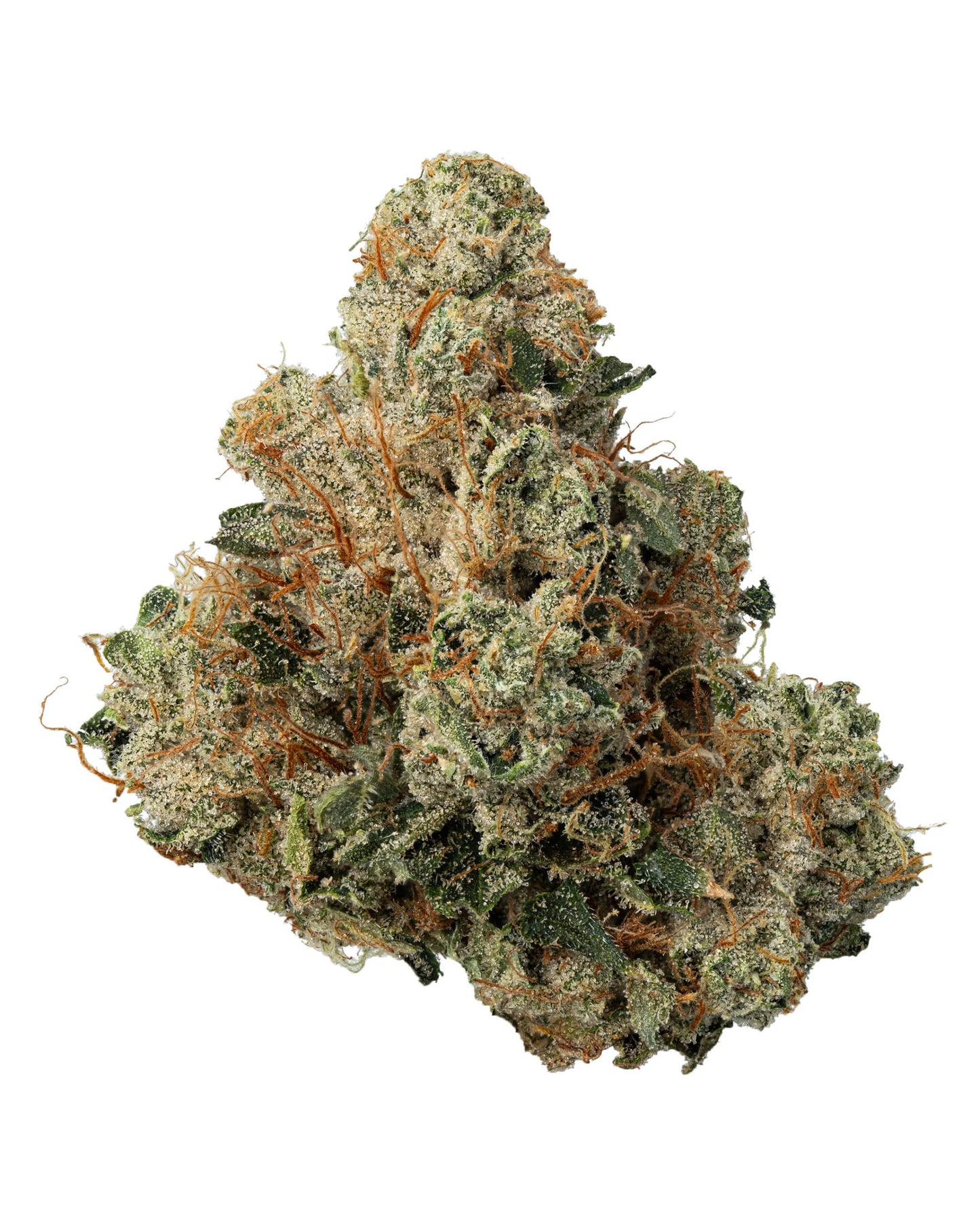 SKYWALKER OG ZKZ (indica/hybrid)