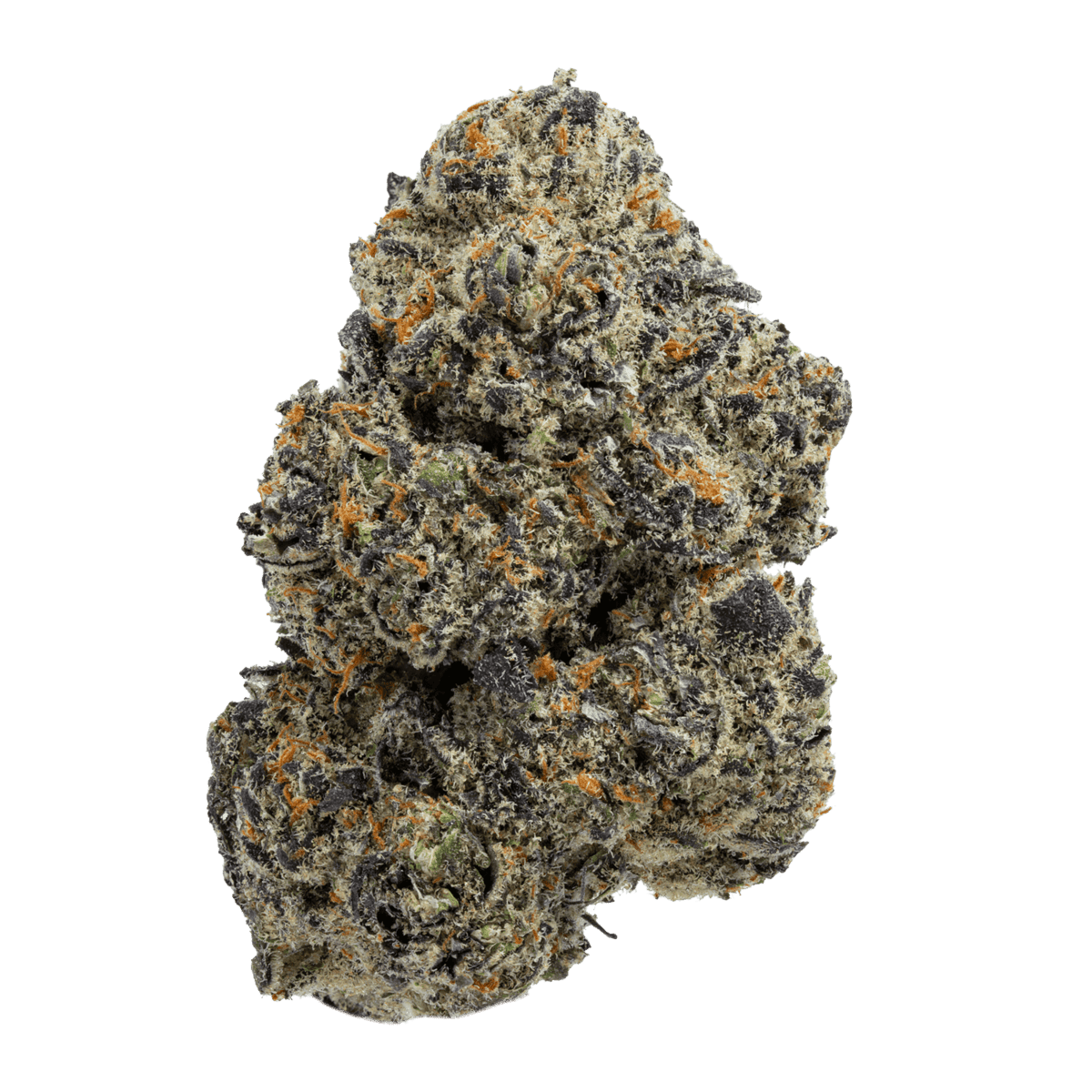 GUAVA BERRY (hybrid)