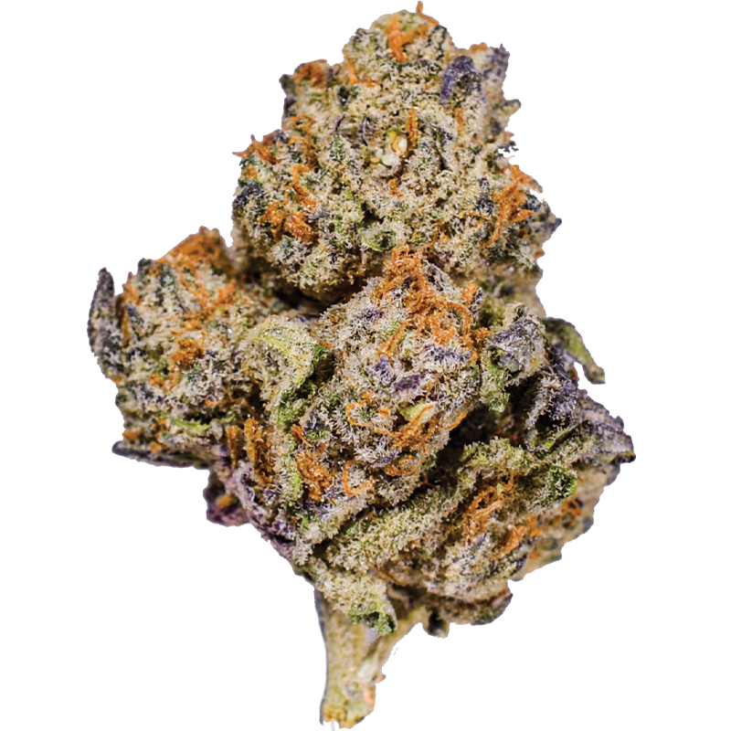 Sundae Driver (Hybrid)