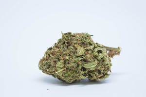 MALAWI GOLD (sativa)