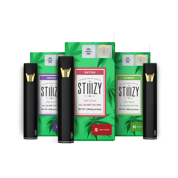 STIIIZY All-in-One 1G Disposable